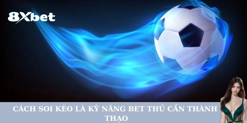 Cách Soi Kèo Bóng Đá Hiệu Quả Khi Tham Gia Cá Độ Tại 8xbet